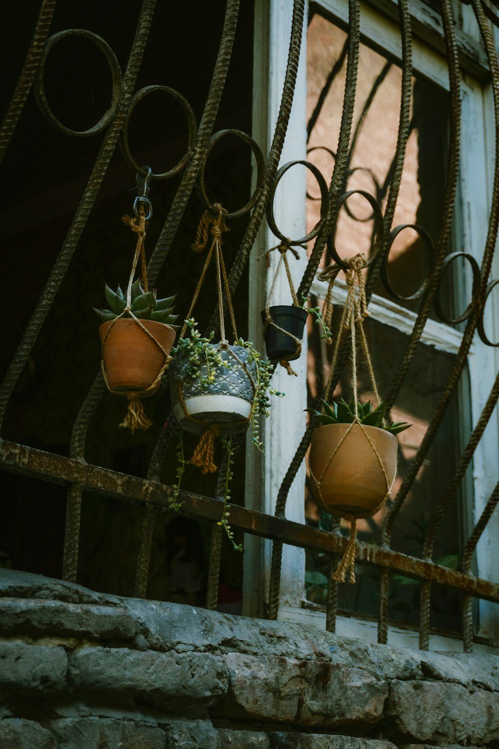 a bunch of potted plants hanging from a window sill