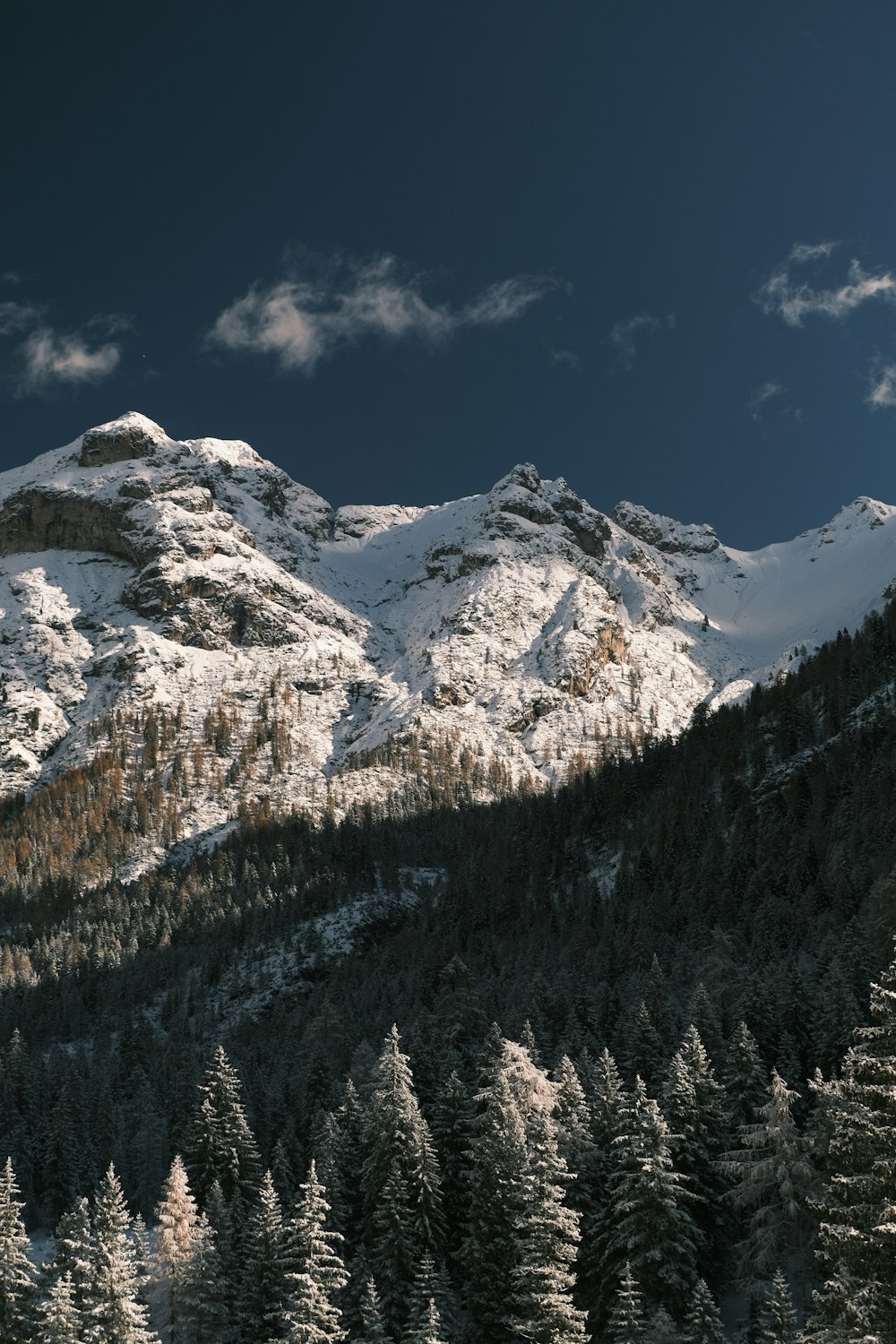 ein schneebedeckter Berg und Bäume unter einem bewölkten Himmel