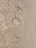 The word 'ALOHA' is written in the sand on a beach, with a few small seashells scattered around.