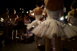 a group of ballerinas standing in a line