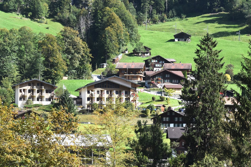 a group of houses sitting on top of a lush green hillside