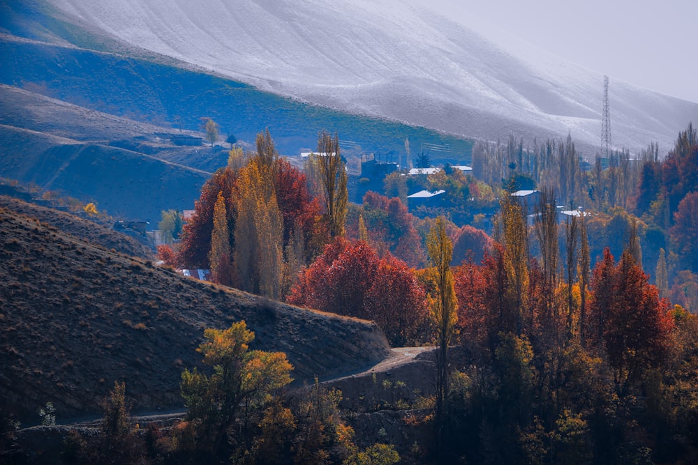 a scenic view of a mountain with trees in the foreground