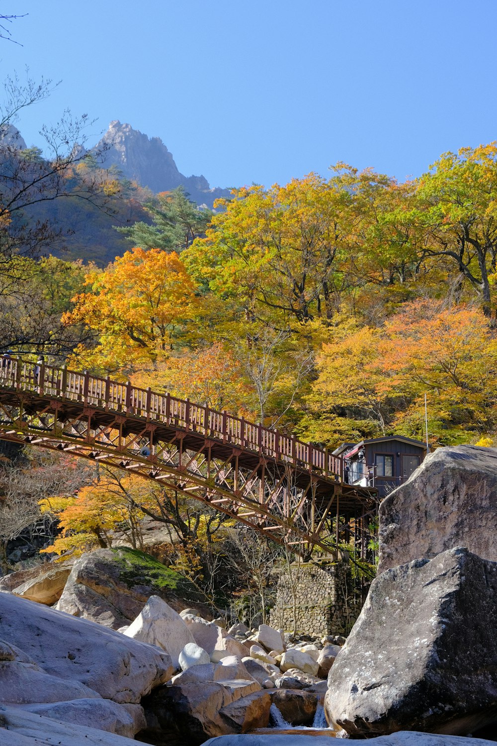 a wooden bridge over a river surrounded by trees