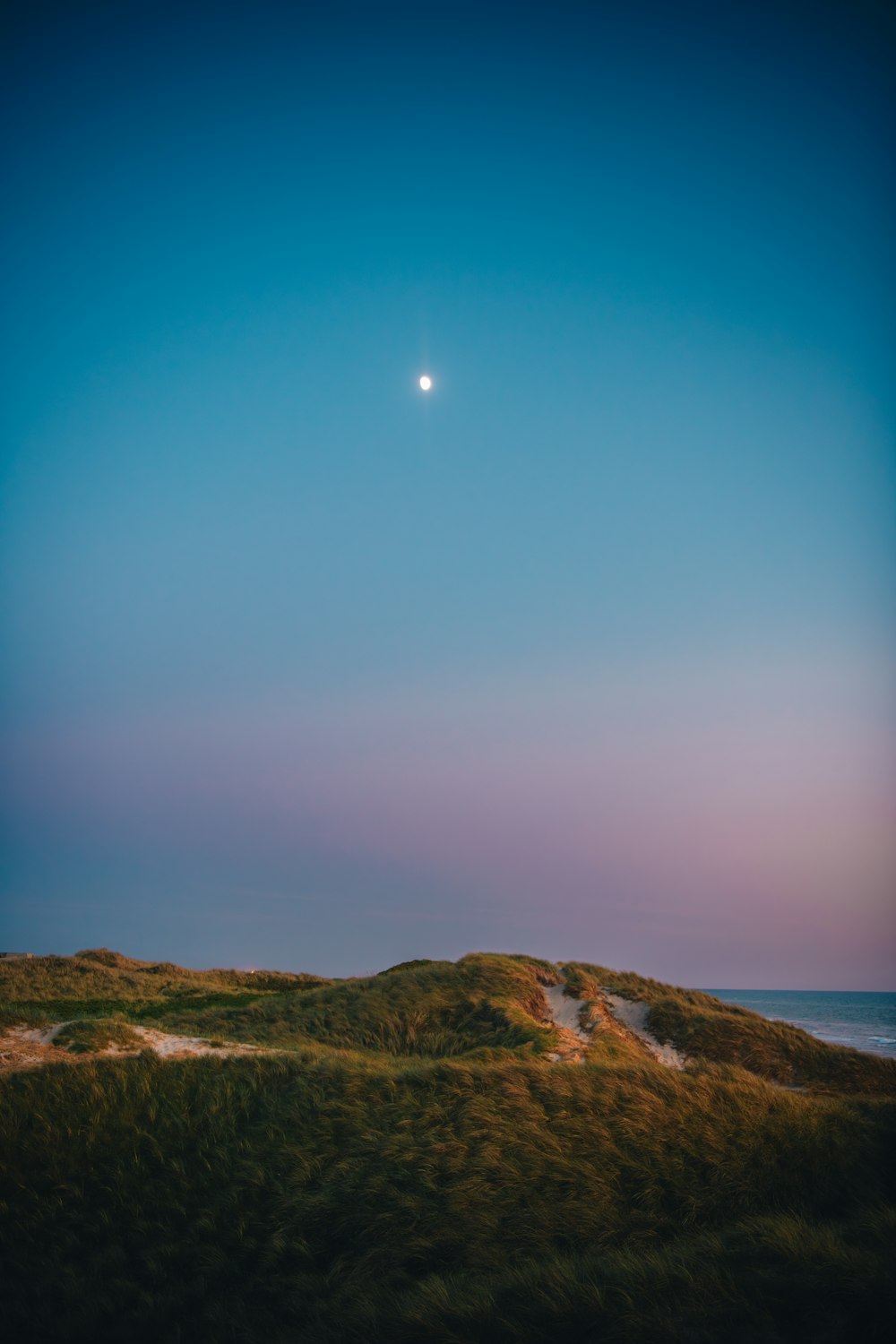 una colina con hierba y una luna en el cielo