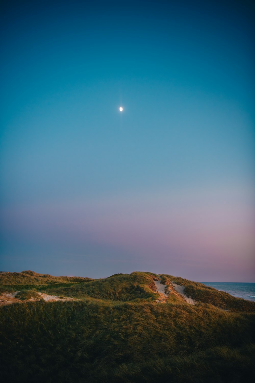 a hill with grass and a moon in the sky