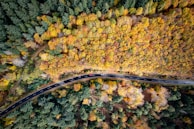 A panoramic view of a winding mountain bike trail cutting through autumn-colored forests.