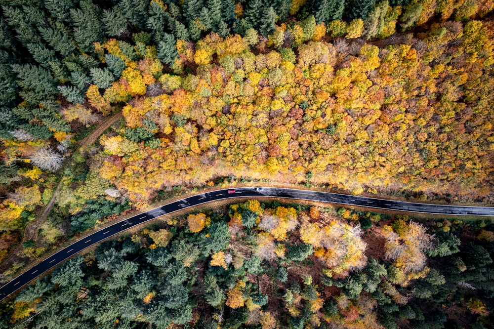 an aerial view of a road surrounded by trees