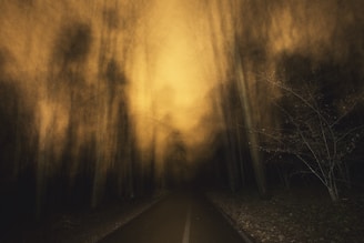 A dark, eerie forest scene with tall trees blurred by moving fog or mist. The scene is illuminated by a yellowish light, casting an ominous glow. A narrow path or road stretches into the distance, surrounded by dense trees on either side. The overall atmosphere conveys mystery and perhaps a touch of the supernatural.