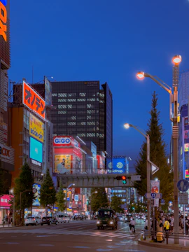 Bright street signs illuminated at dusk in an urban area.