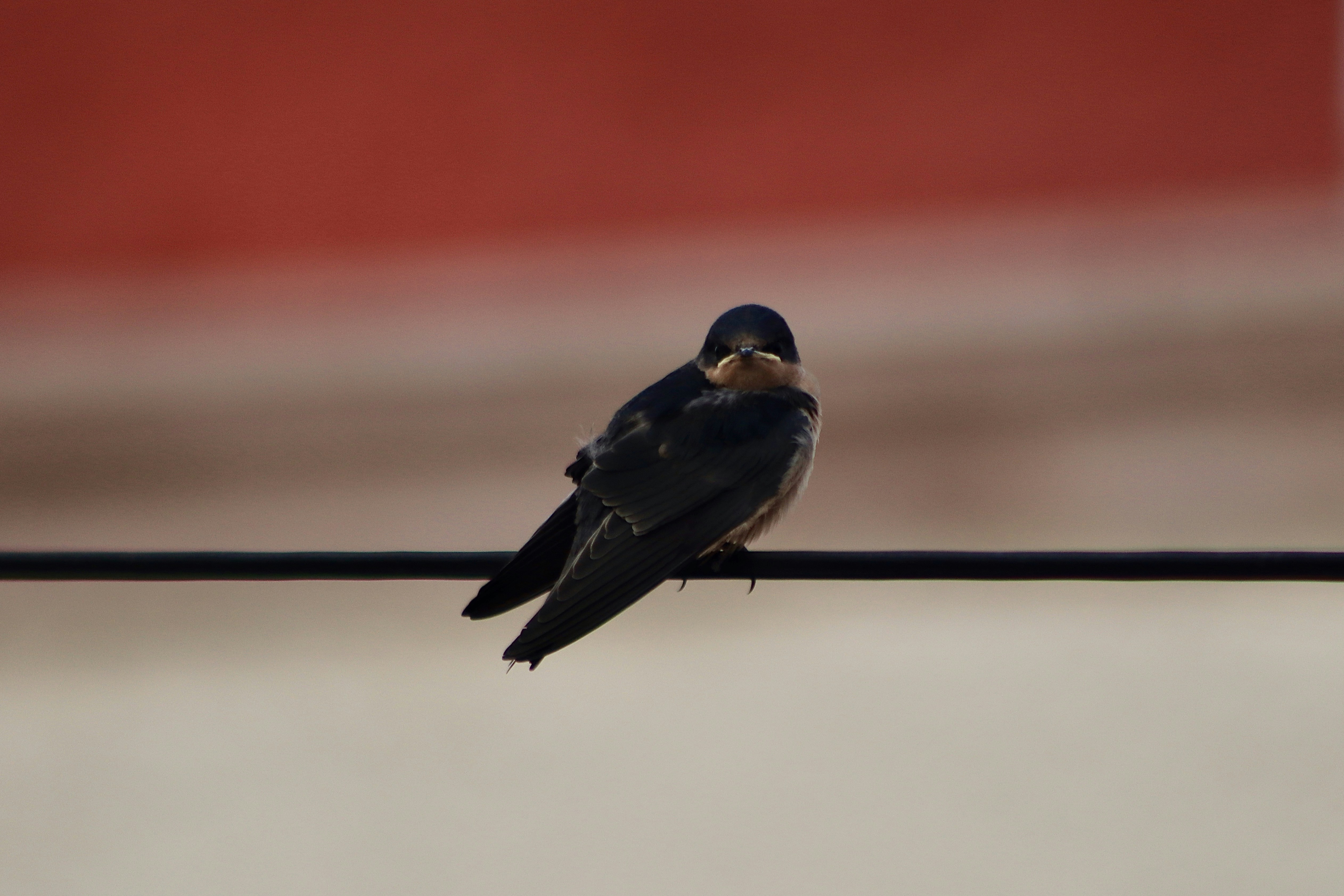 Photo by jorgeel_vm09