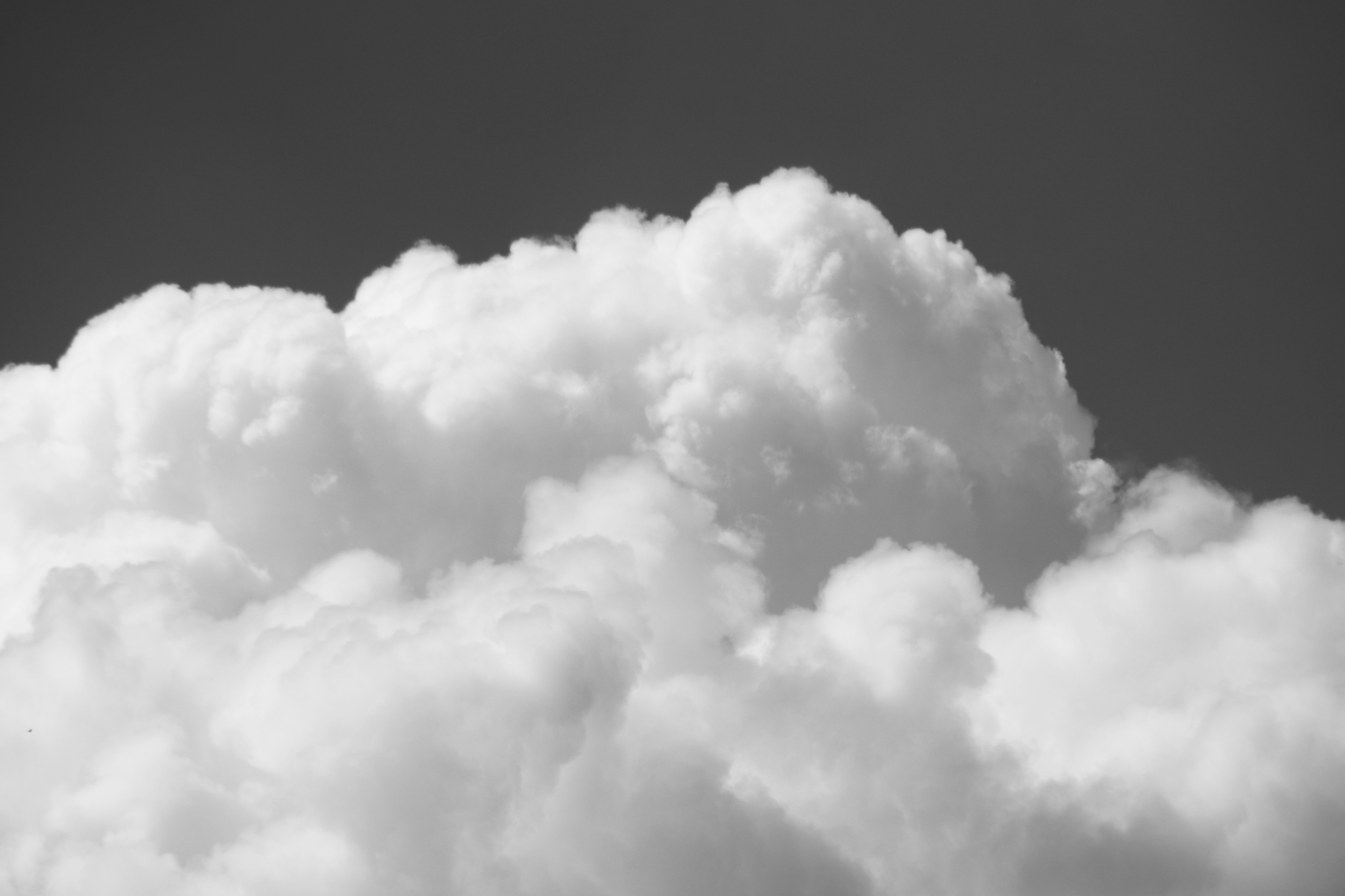 Photo by jorgeel_vm09