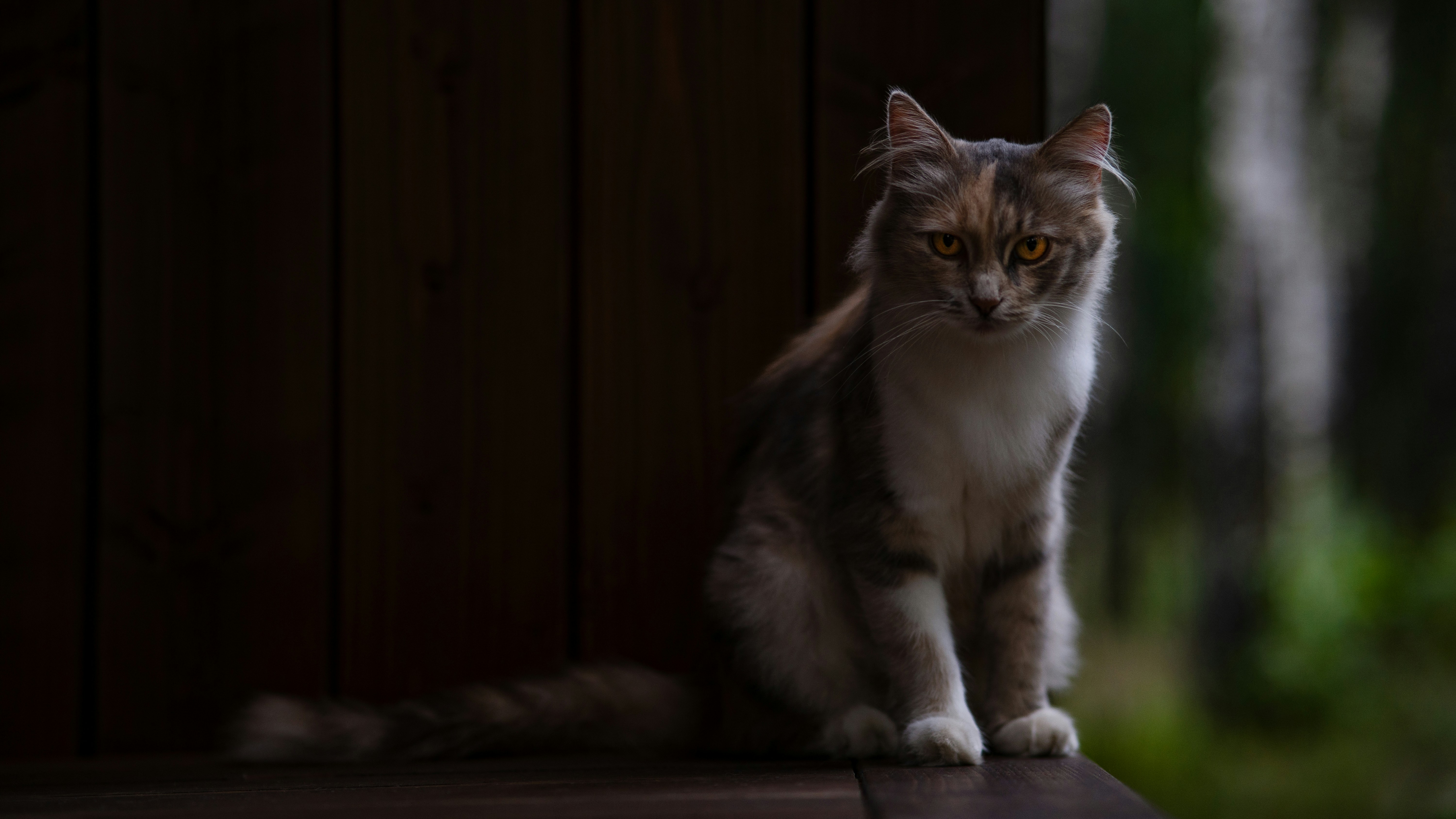 Photo by eugenechystiakov