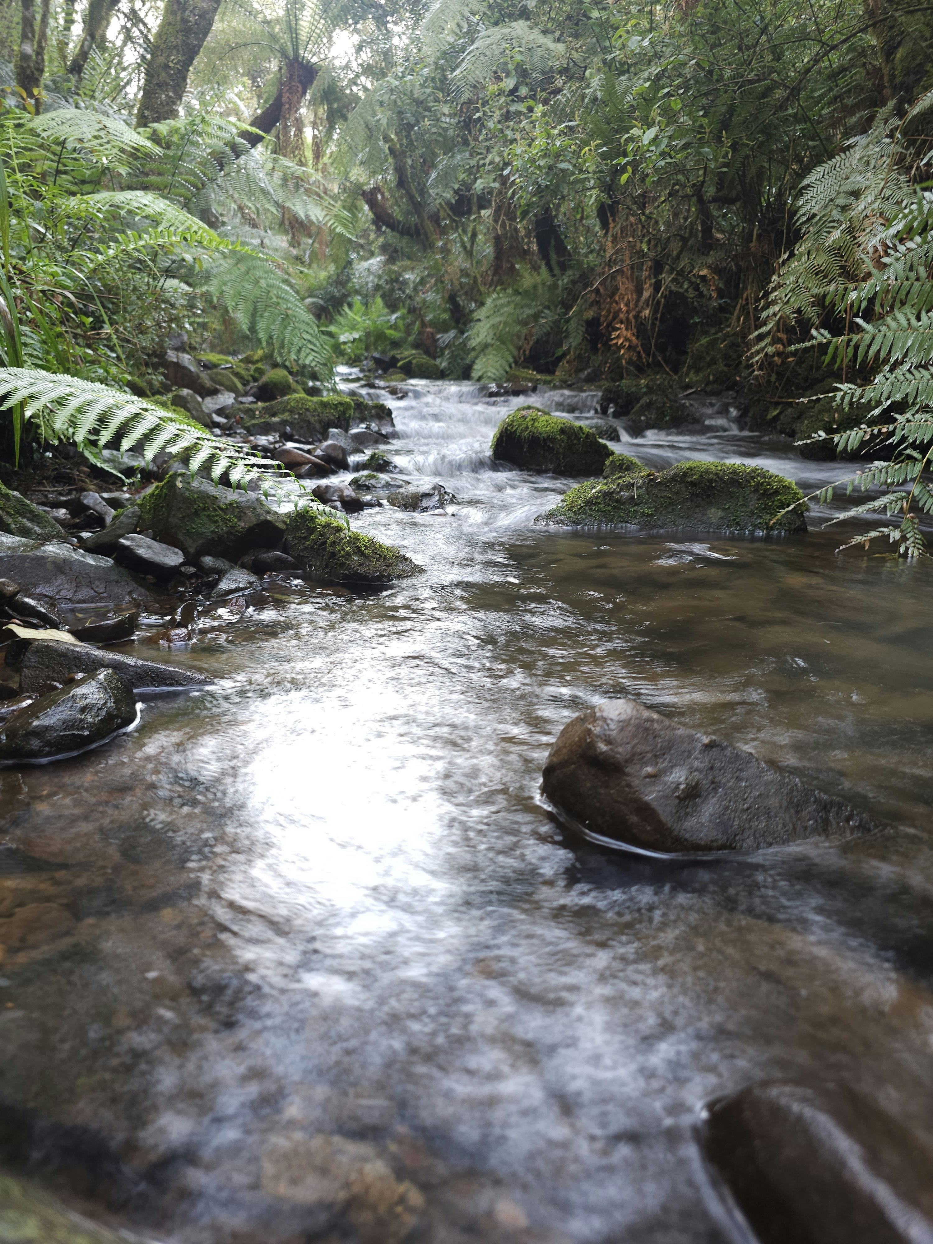 Photo by matheuskprot