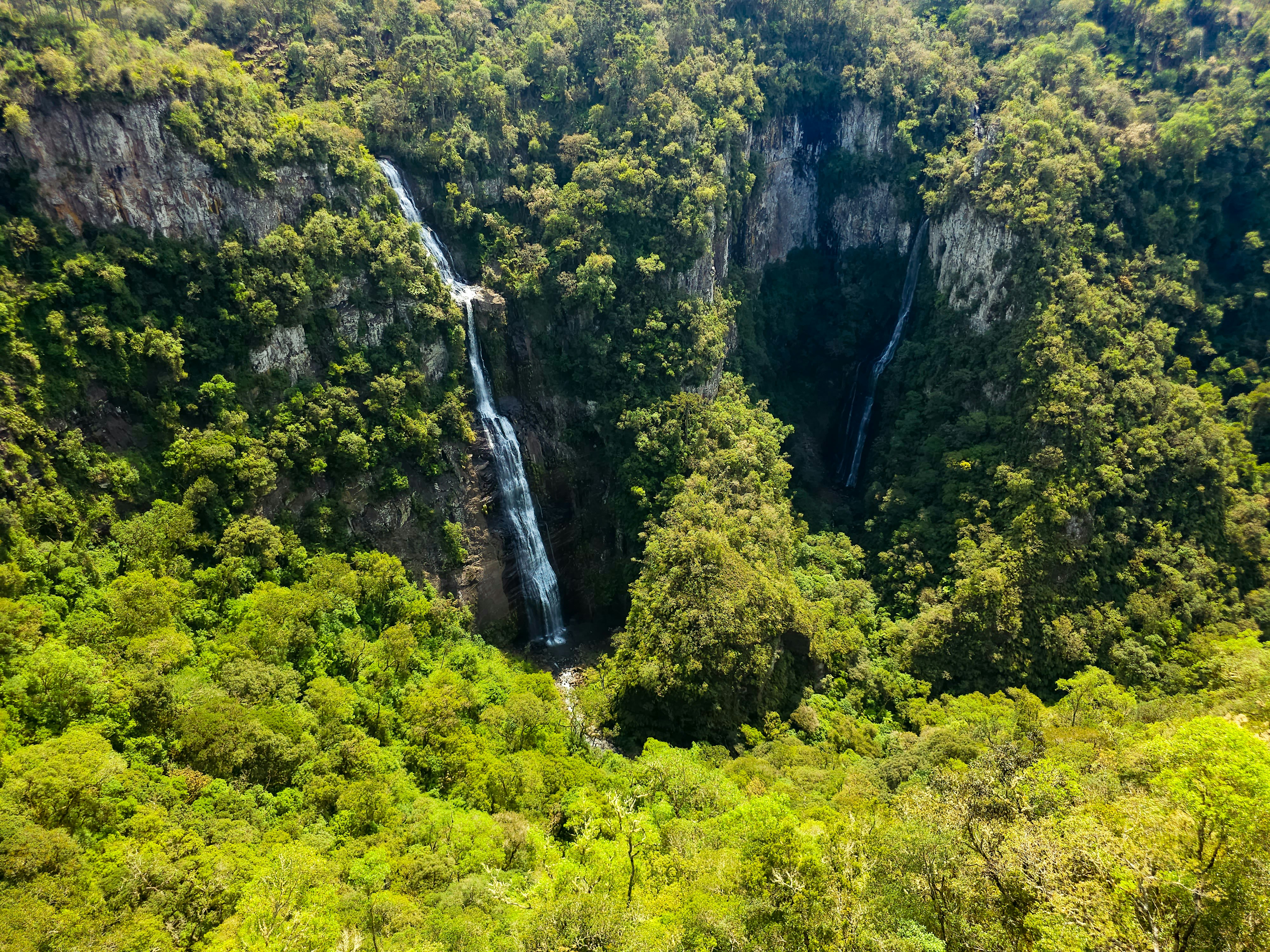 Photo by matheuskprot