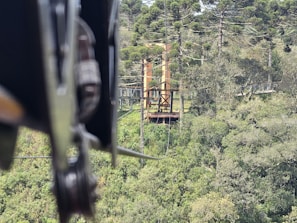 Close-up of a zip line platform built among dense green foliage.
