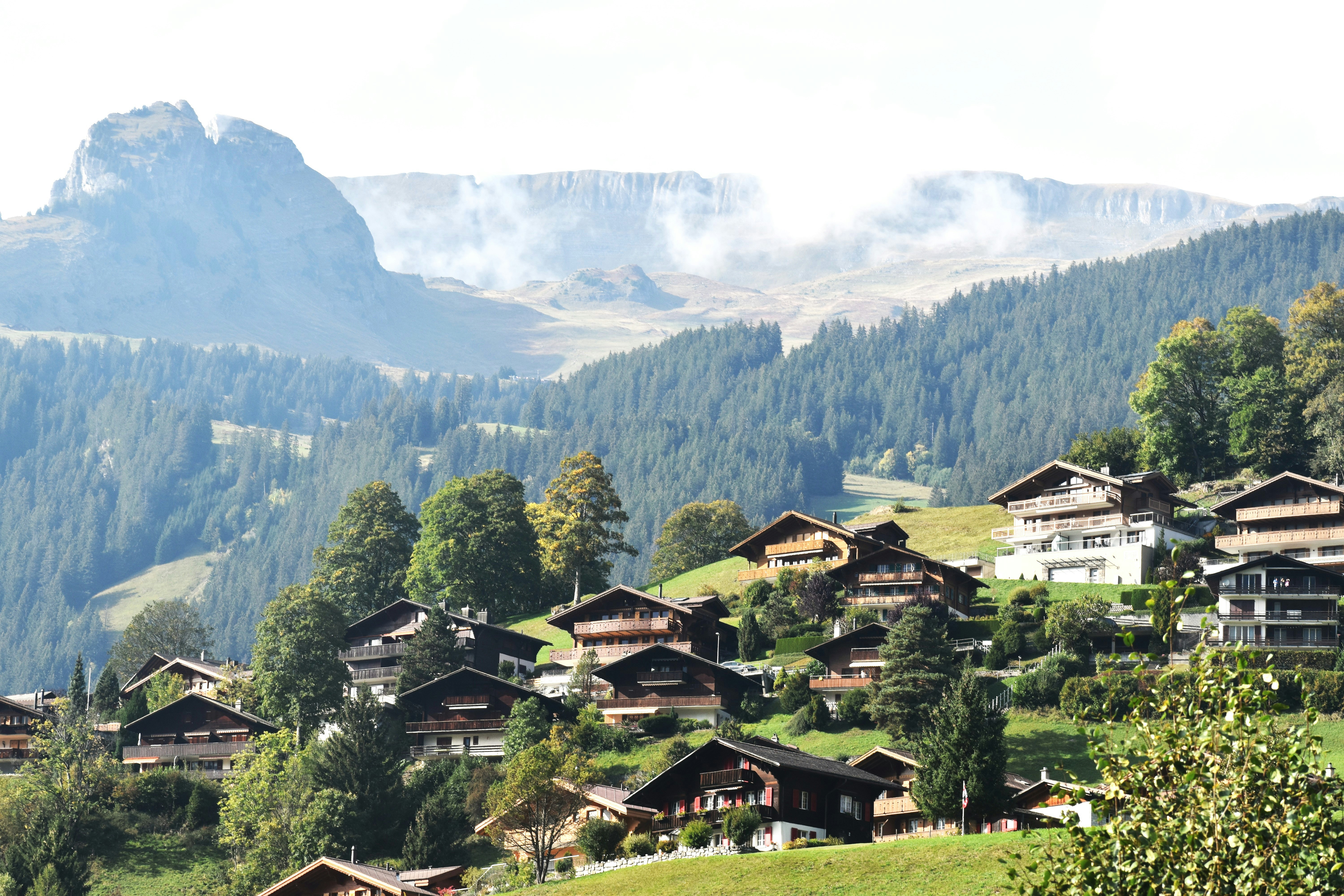 Photo by danielelarosa