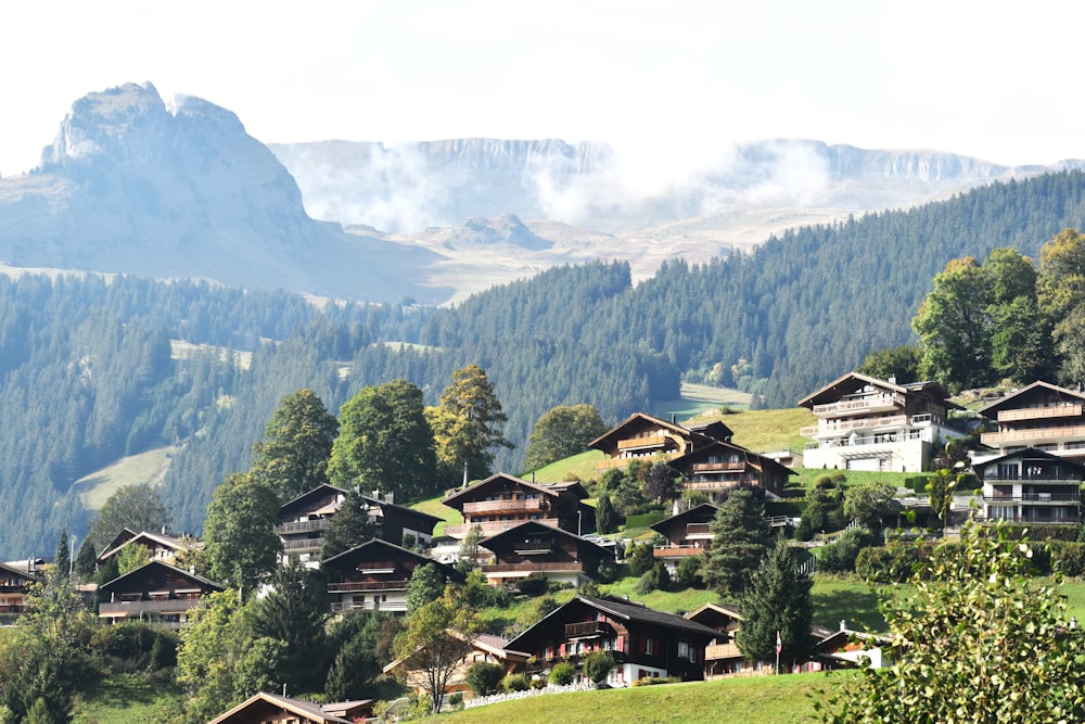 a group of houses sitting on top of a lush green hillside