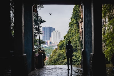 Close-up of a human figure peering cautiously from behind a cracked city wall, with shadowy, alien silhouettes lurking in the distance.