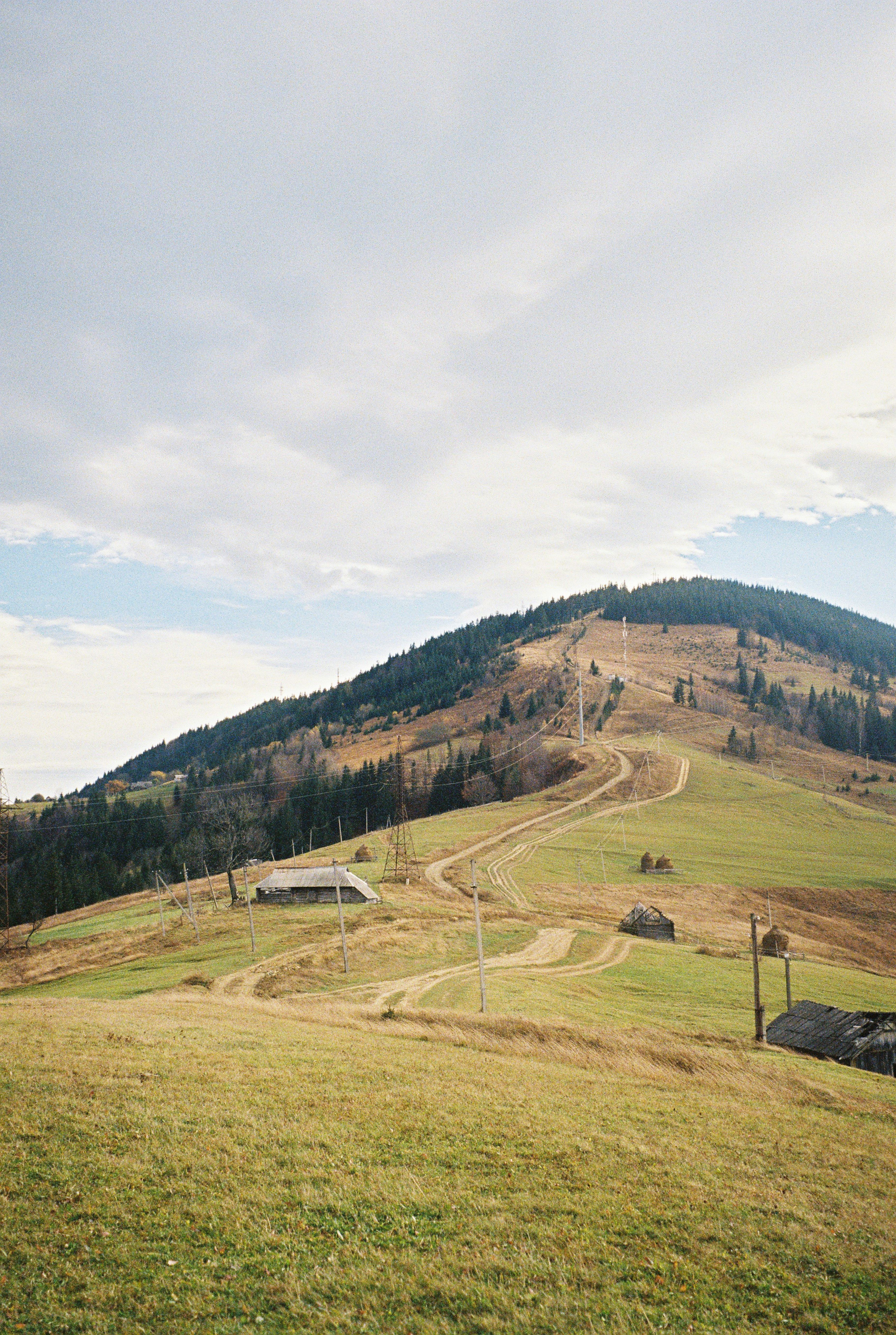 Photo by marynayanul