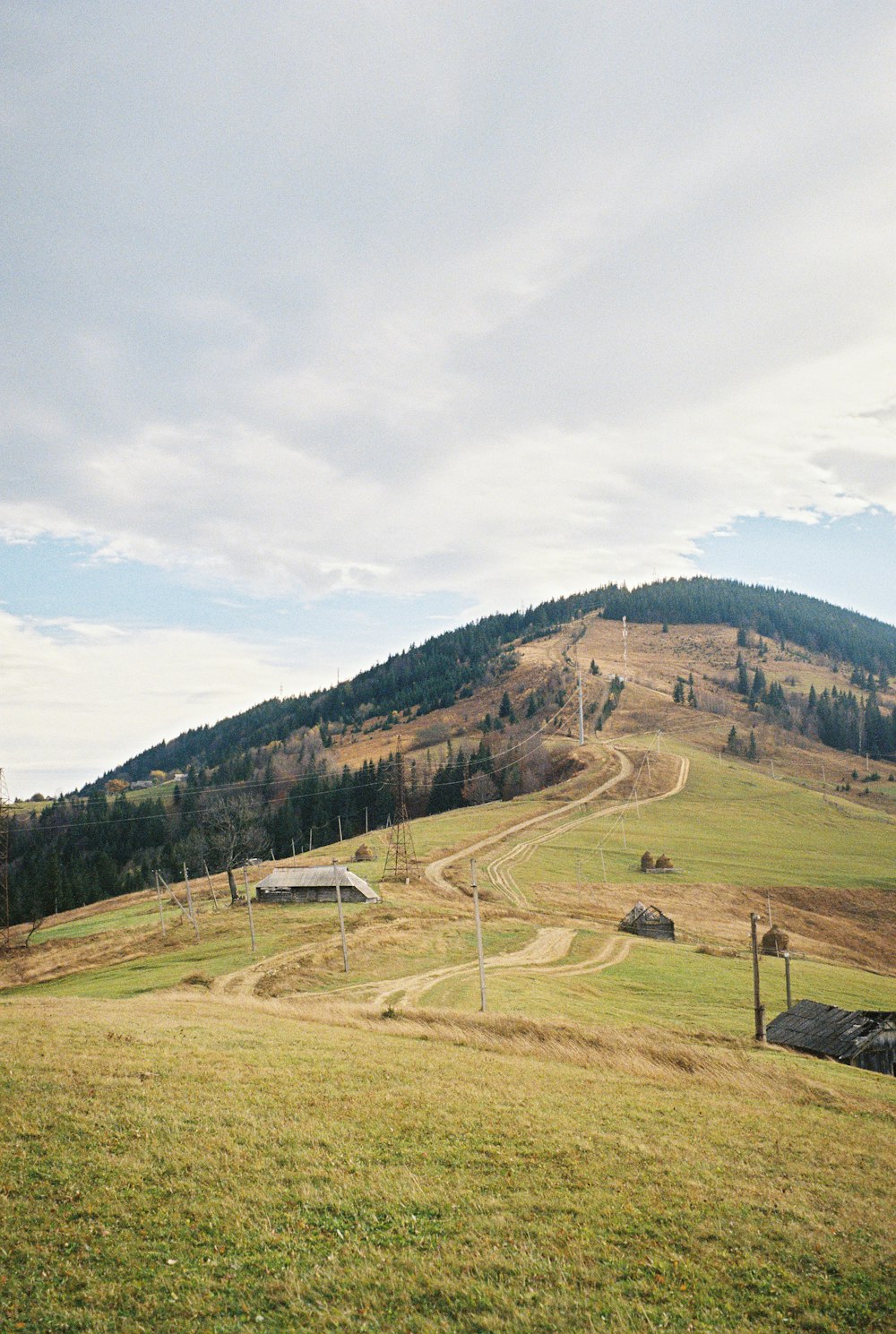 a grassy field with a hill in the background