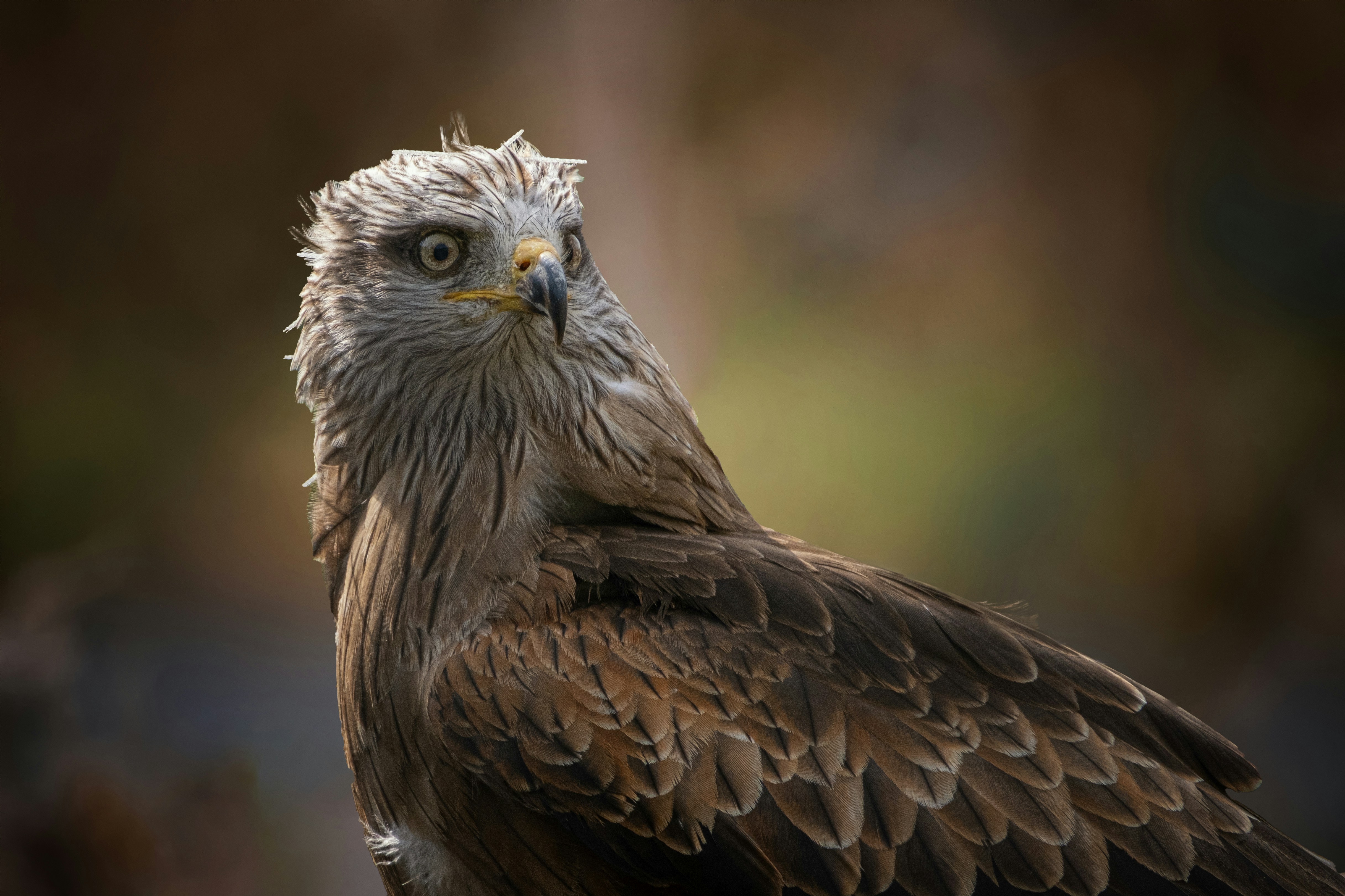 Photo by philrobson100