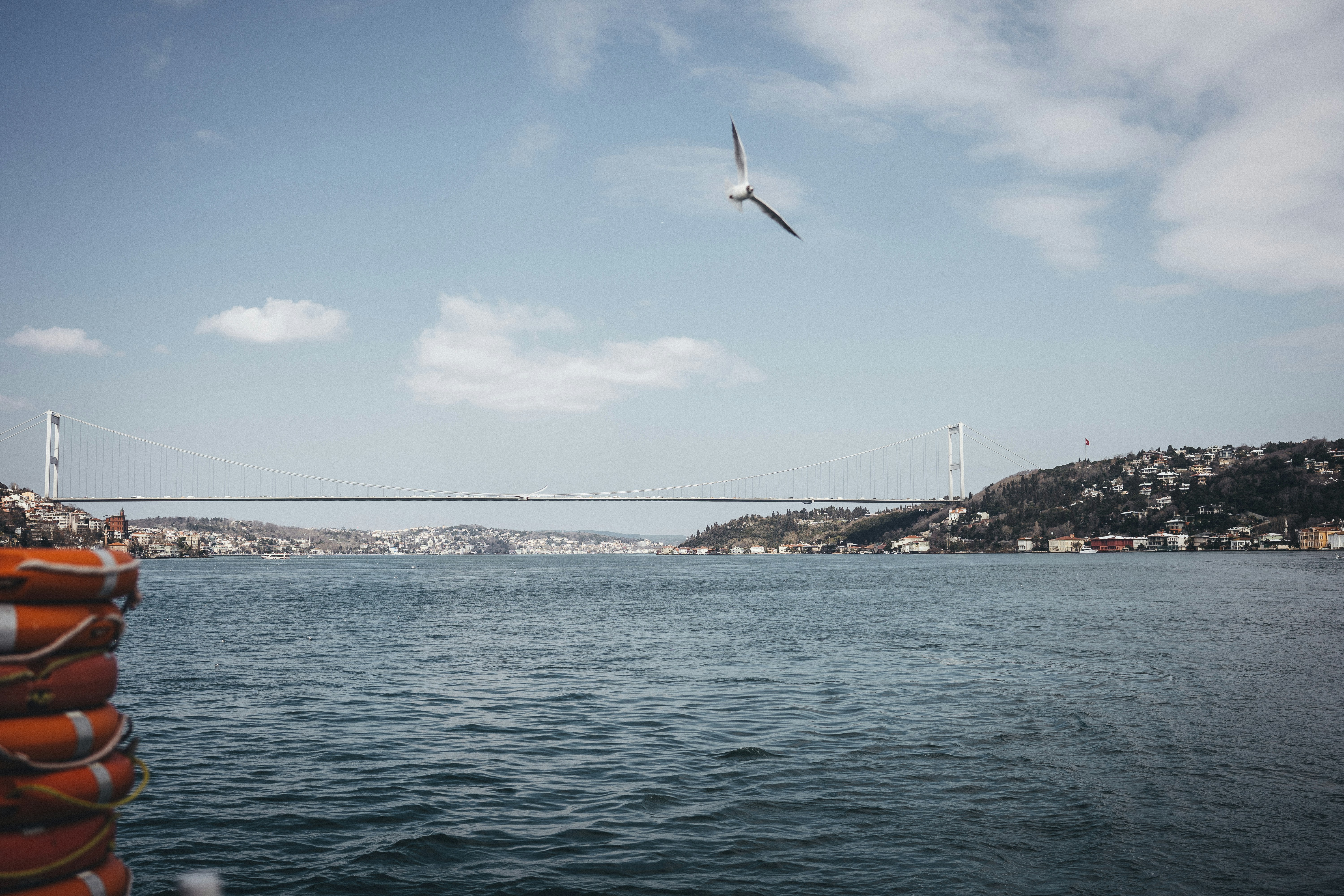 Photo by omarvellous14