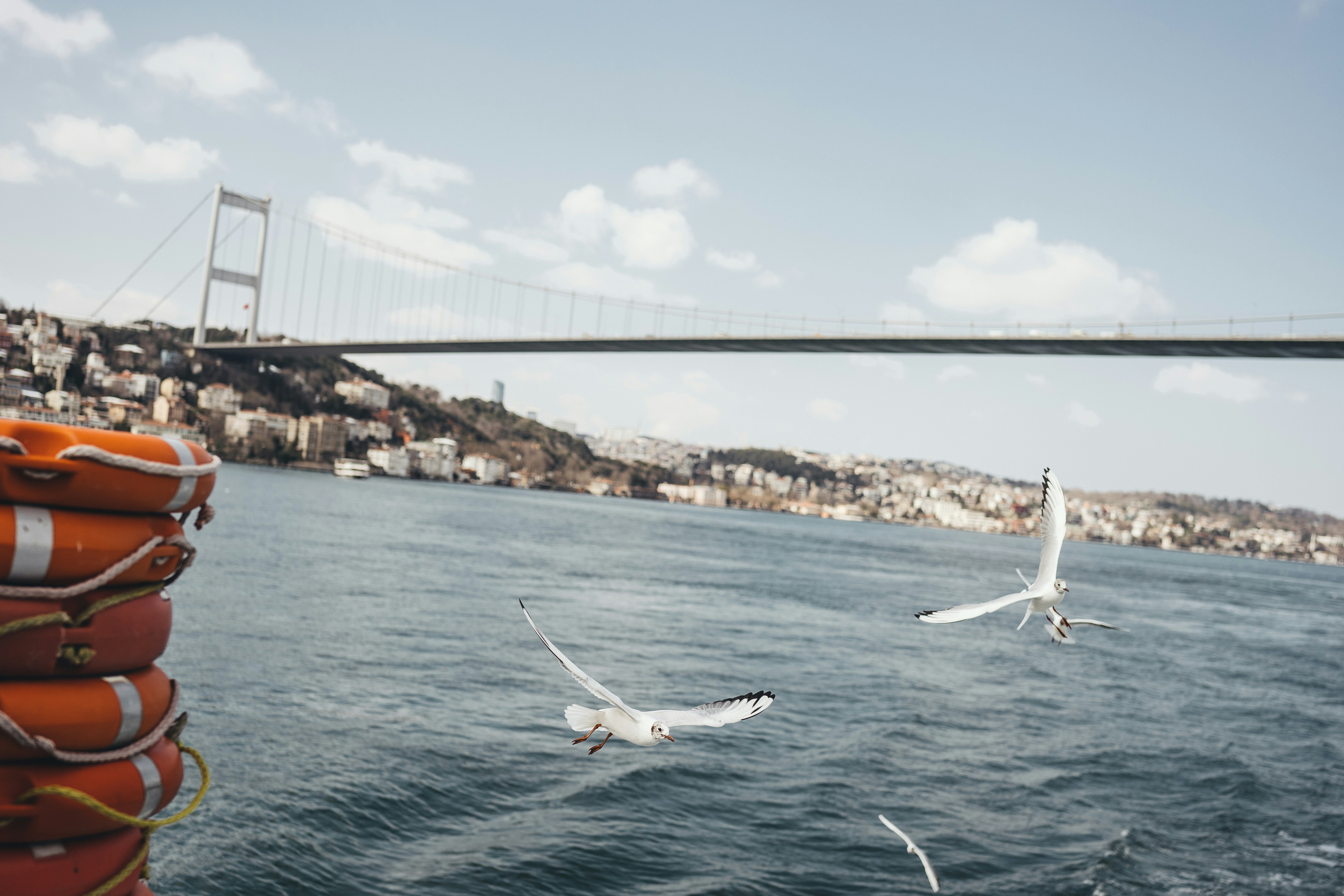 Photo by omarvellous14