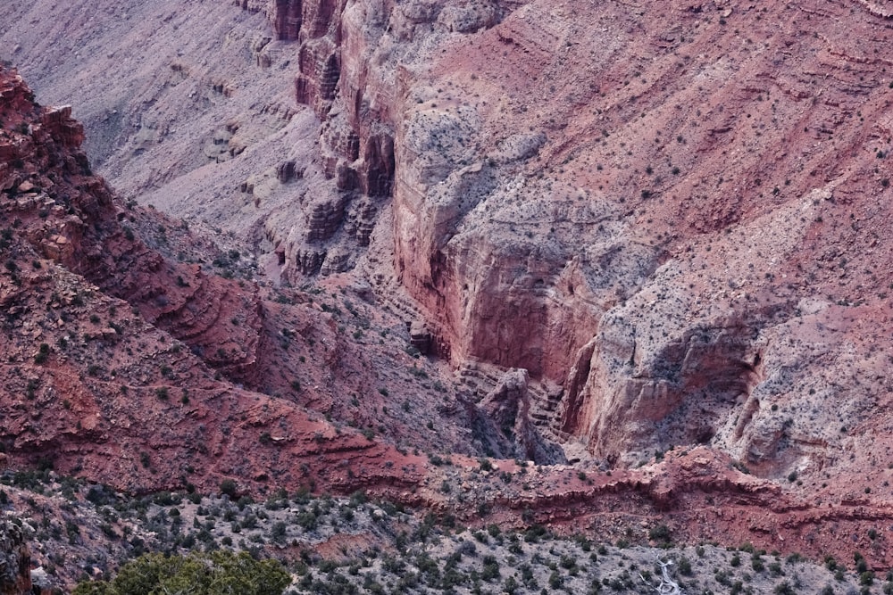 une vue d’une montagne rocheuse avec des arbres au premier plan