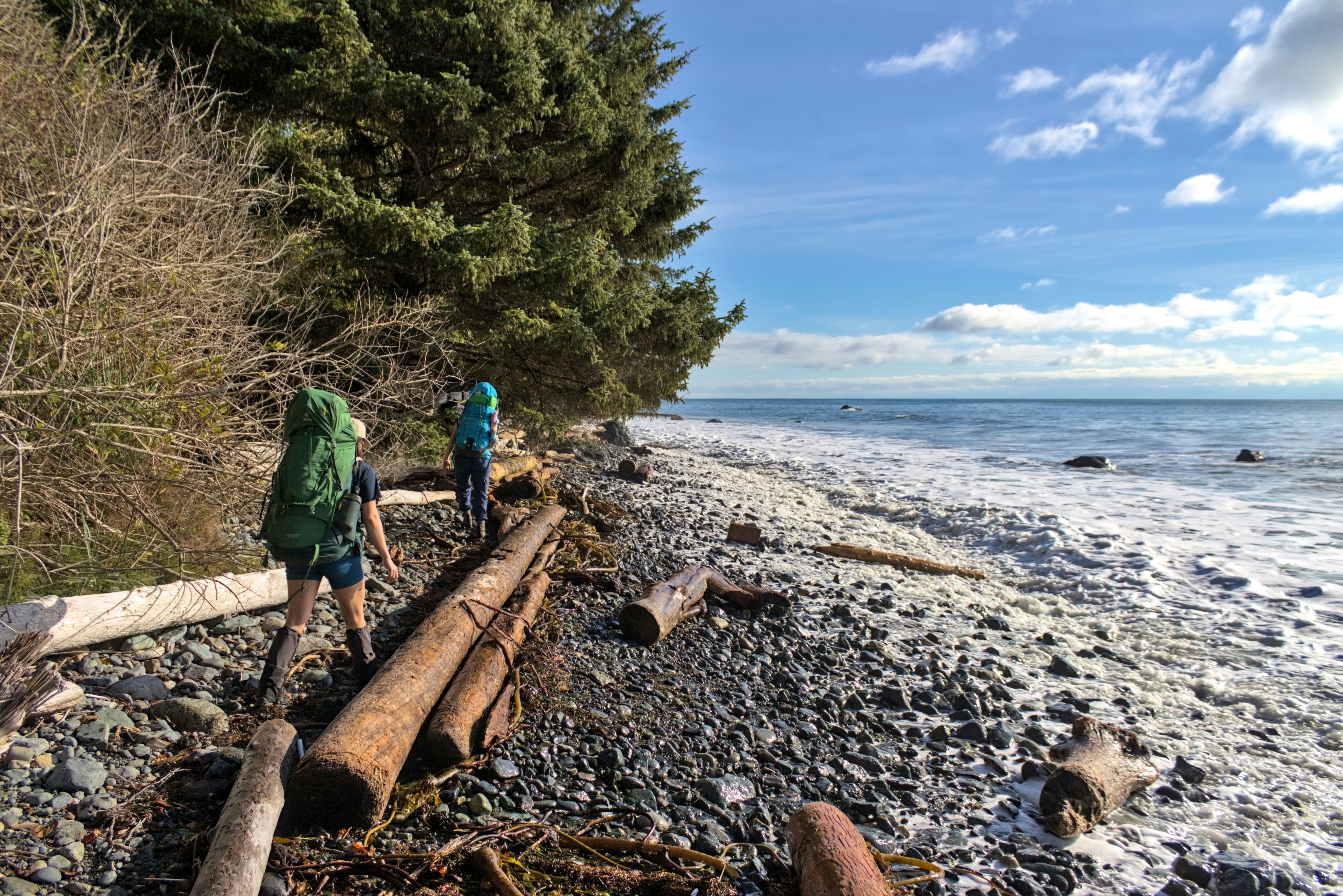 a couple of people walking along a beach next to a forest, Backpacking through Bear Beach.