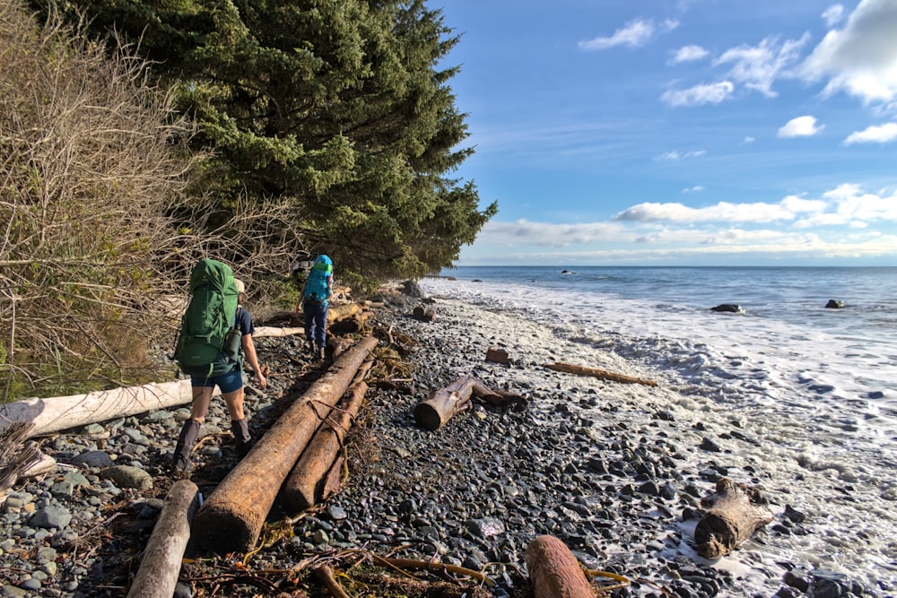 a couple of people walking along a beach next to a forest