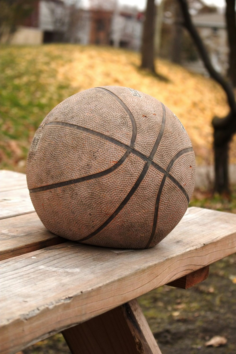 a basketball sitting on top of a wooden bench