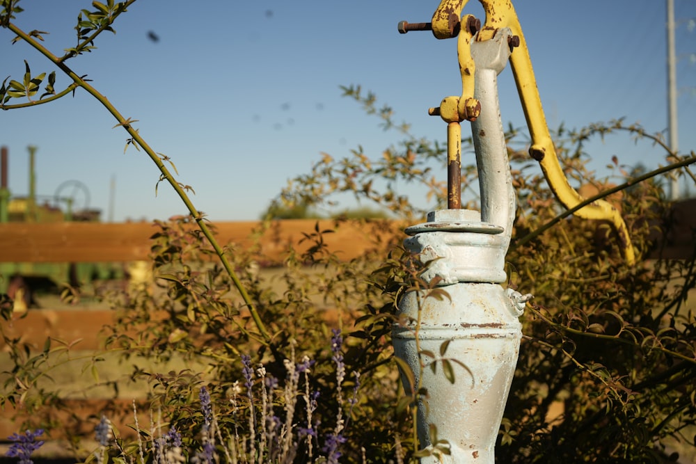 a rusted fire hydrant in front of a bush