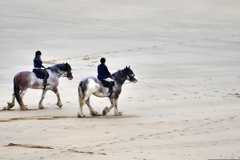 Two riders on a sandy beach