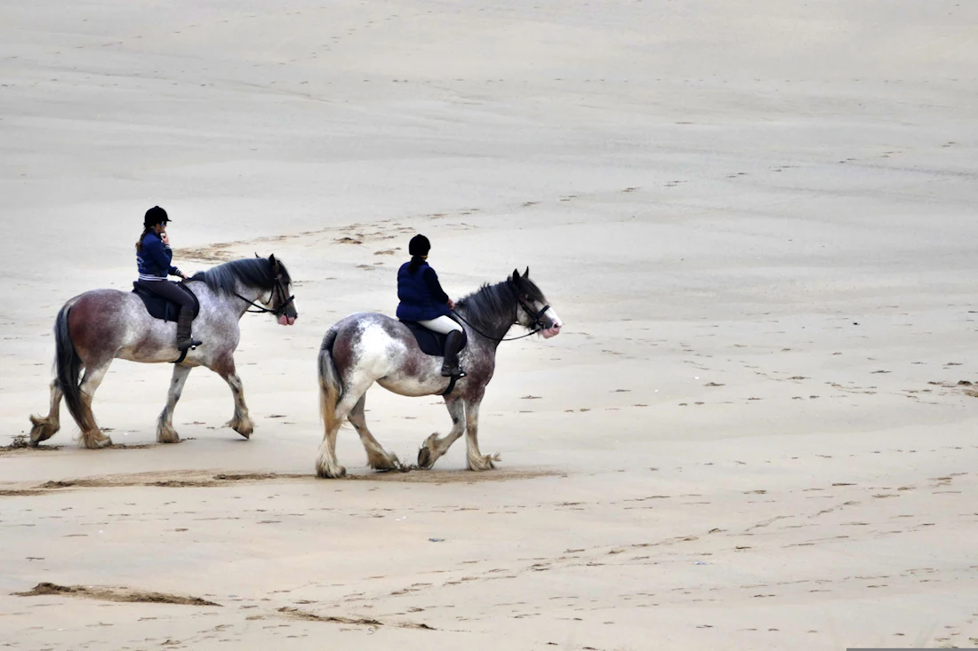 Two riders on horseback on a sandy beach