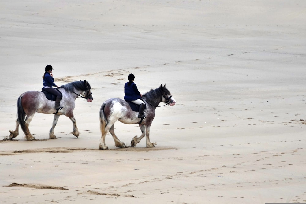 two people riding horses on a sandy beach