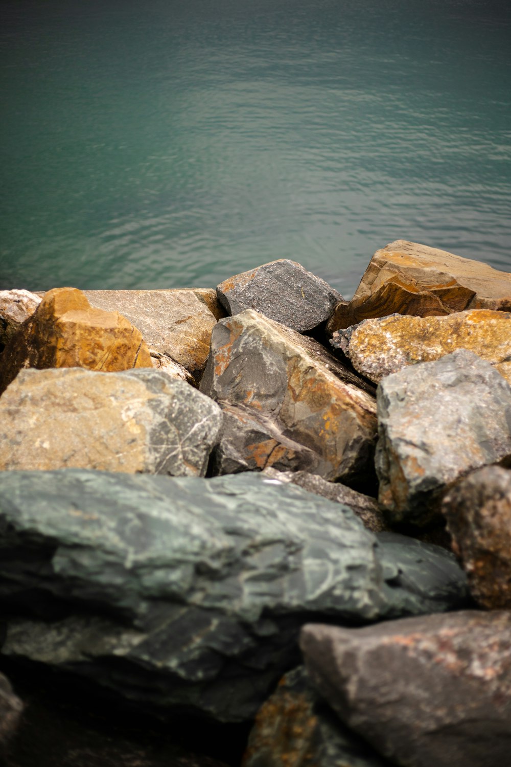 a teddy bear sitting on some rocks by the water