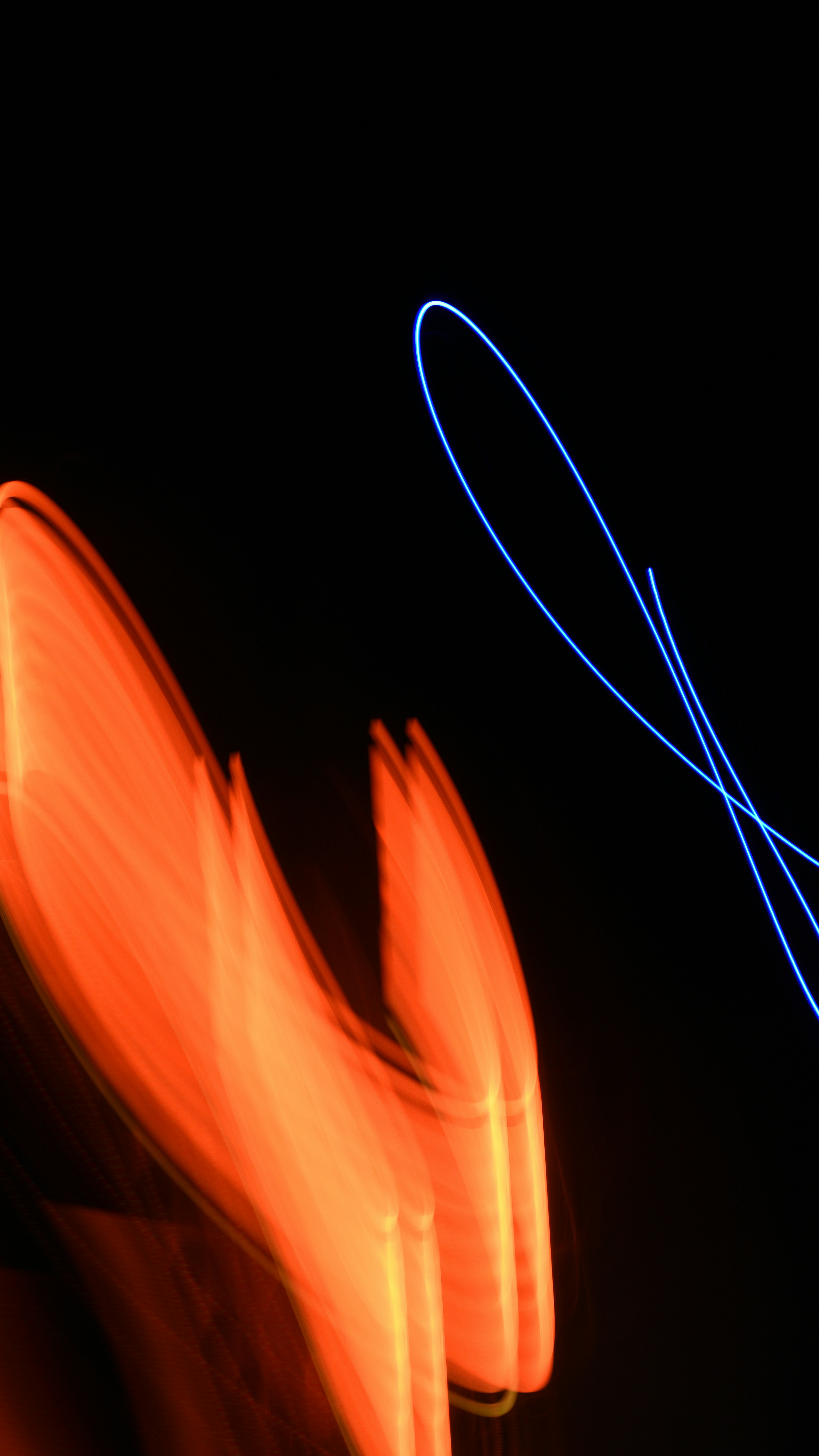 Photo by elliottmason