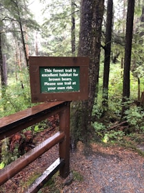 A friendly local guide pointing out wildlife along a forest trail on Prince of Wales Island.