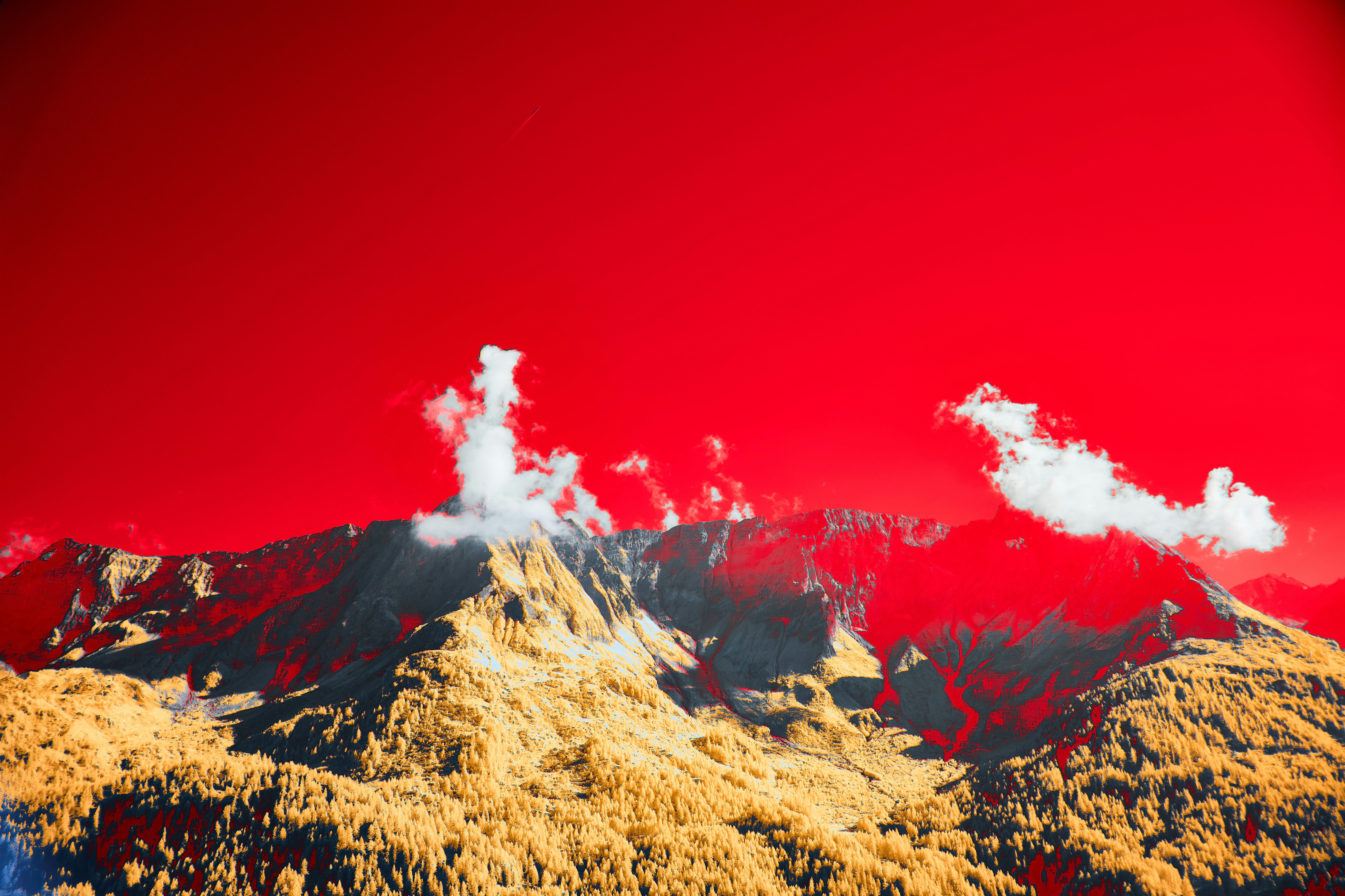 Photo by wolfgang_hasselmann