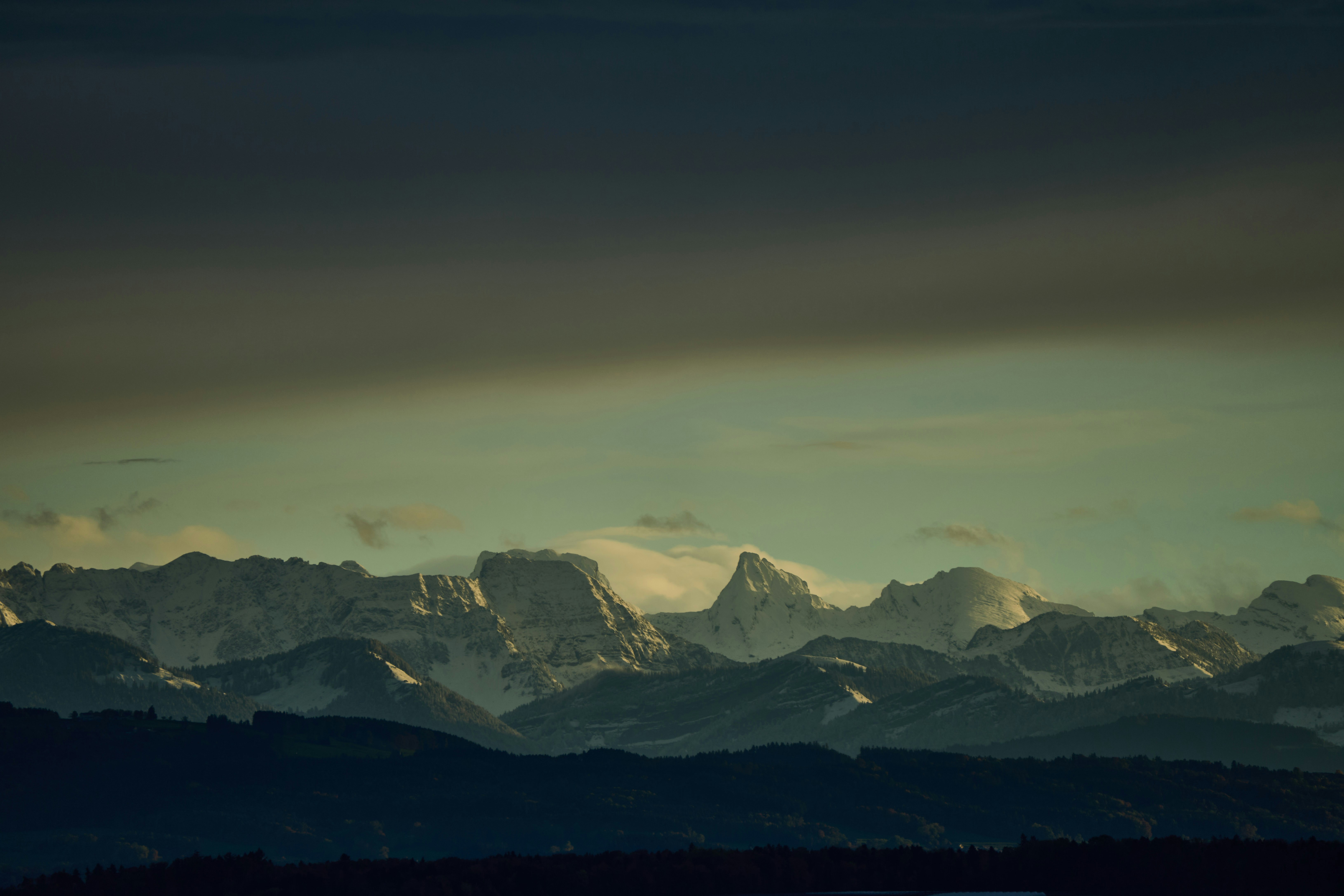 Photo by wolfgang_hasselmann