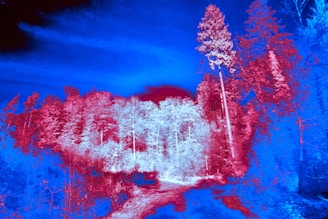 a blue and red image of a forest