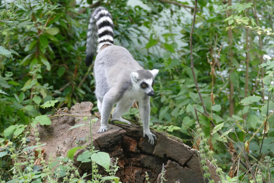 Escape to Nature: 6 Mesmerizing Series to Watch After Planet Earth… — Escape to Nature