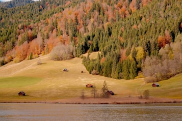 A serene landscape featuring a smooth, reflective lake in the foreground, with grassy fields and scattered small wooden cabins on gentle slopes. The background is dense with tall evergreen and deciduous trees displaying vivid autumn colors like orange, red, and green.