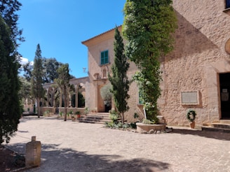 Sunlit courtyard of Casa Angelina with rustic stone walls and vibrant greenery.