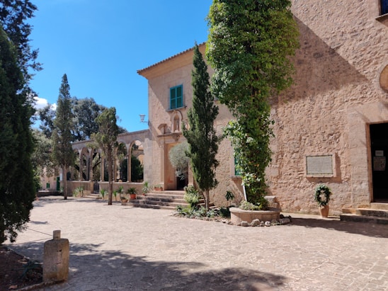 Sunlit courtyard of Casa Angelina with rustic stone walls and vibrant greenery.
