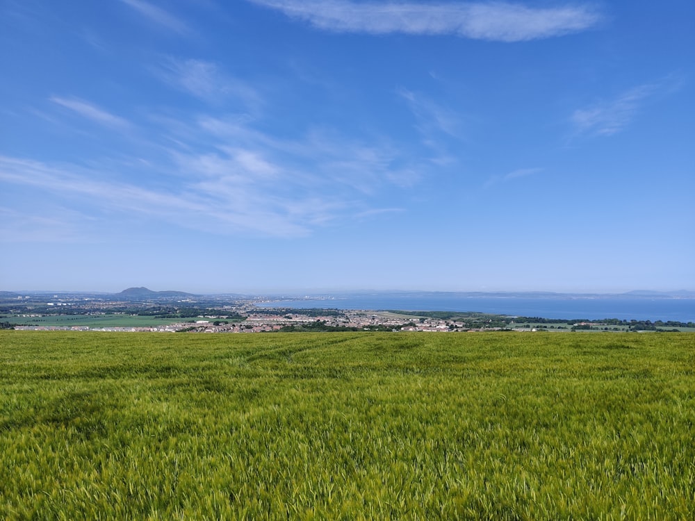 a field of green grass with a view of the ocean in the distance