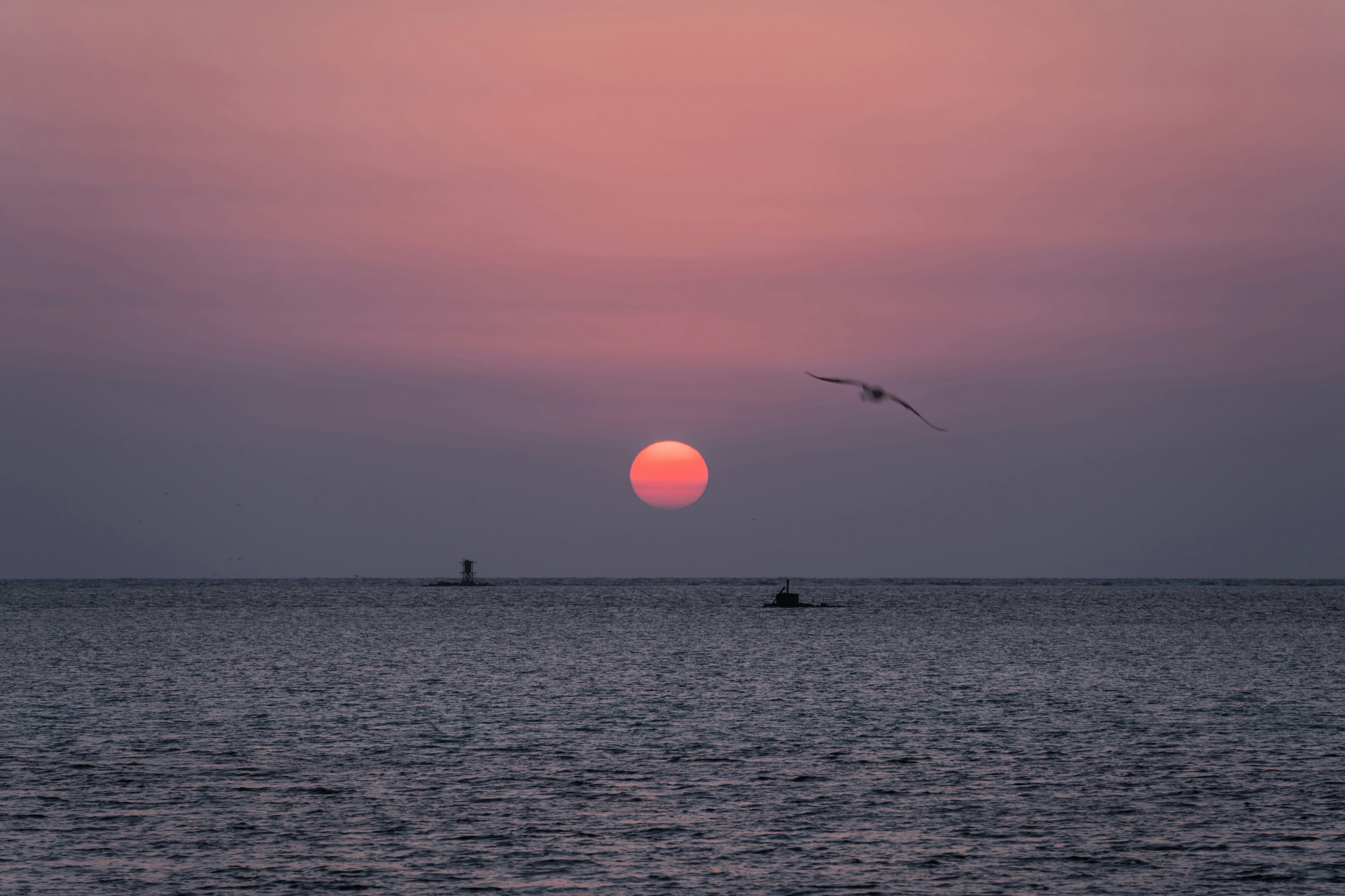 Photo by albert_canite