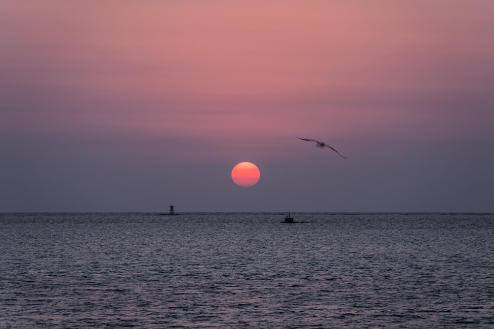 two birds flying over a body of water at sunset