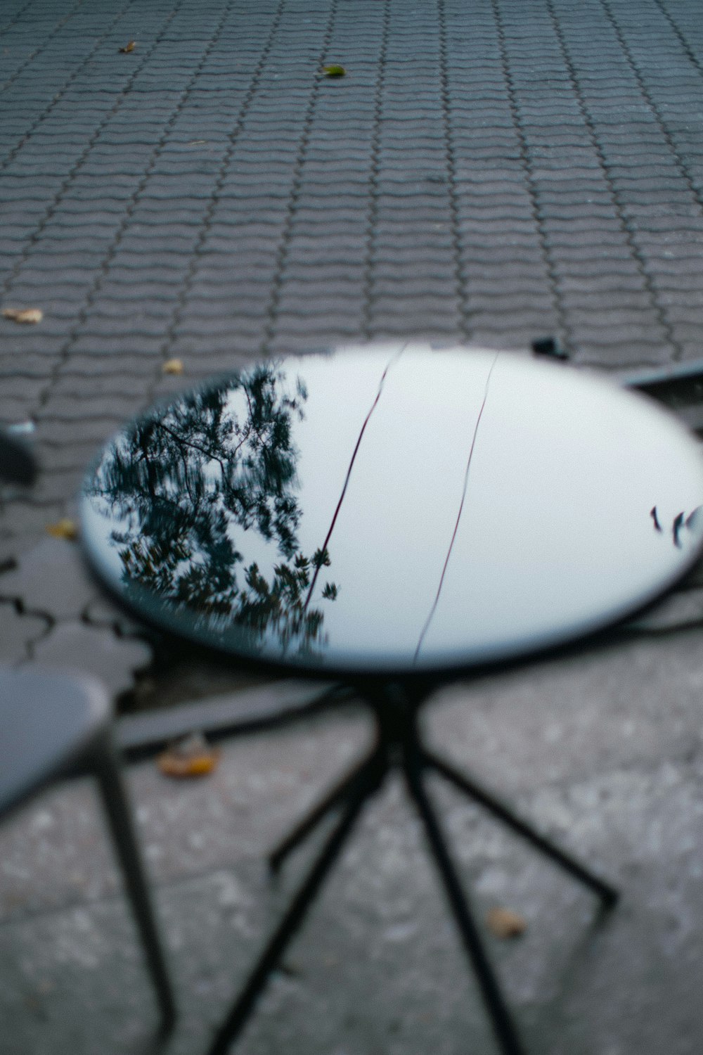 a reflection of a tree in a mirror