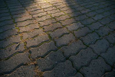 Wide shot of a natural pavement project in progress surrounded by greenery